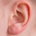 Основные причины появления свиста в слуховом аппарате